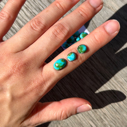 12pcs Sonoran Gold Turquoise Cabochons (Backed) Smooth - 6-12mm (FULL LOT) (W6)