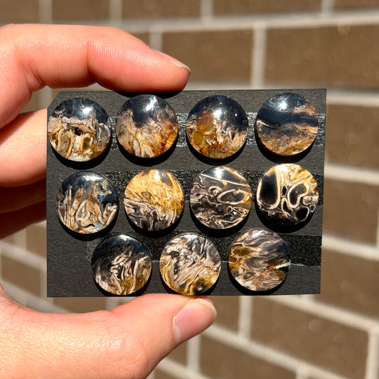 Fossilised/Petrified Black Palm Root Cabochon Round Smooth (15mm) - Choose your Stone (W13)