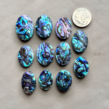 Abalone Paua Shell (Iridescent) Cabochon Smooth - Choose your Stone (W3)