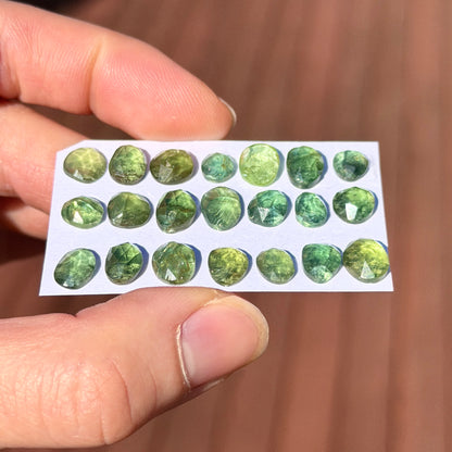 7-9mm Green Apatite Cabochon Rose cut - Choose your Stone (W3)