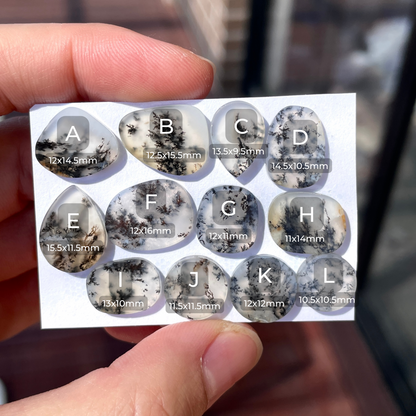 10-16mm Dendritic Opal Agate Cabochon Smooth - Choose your Stone (W5)