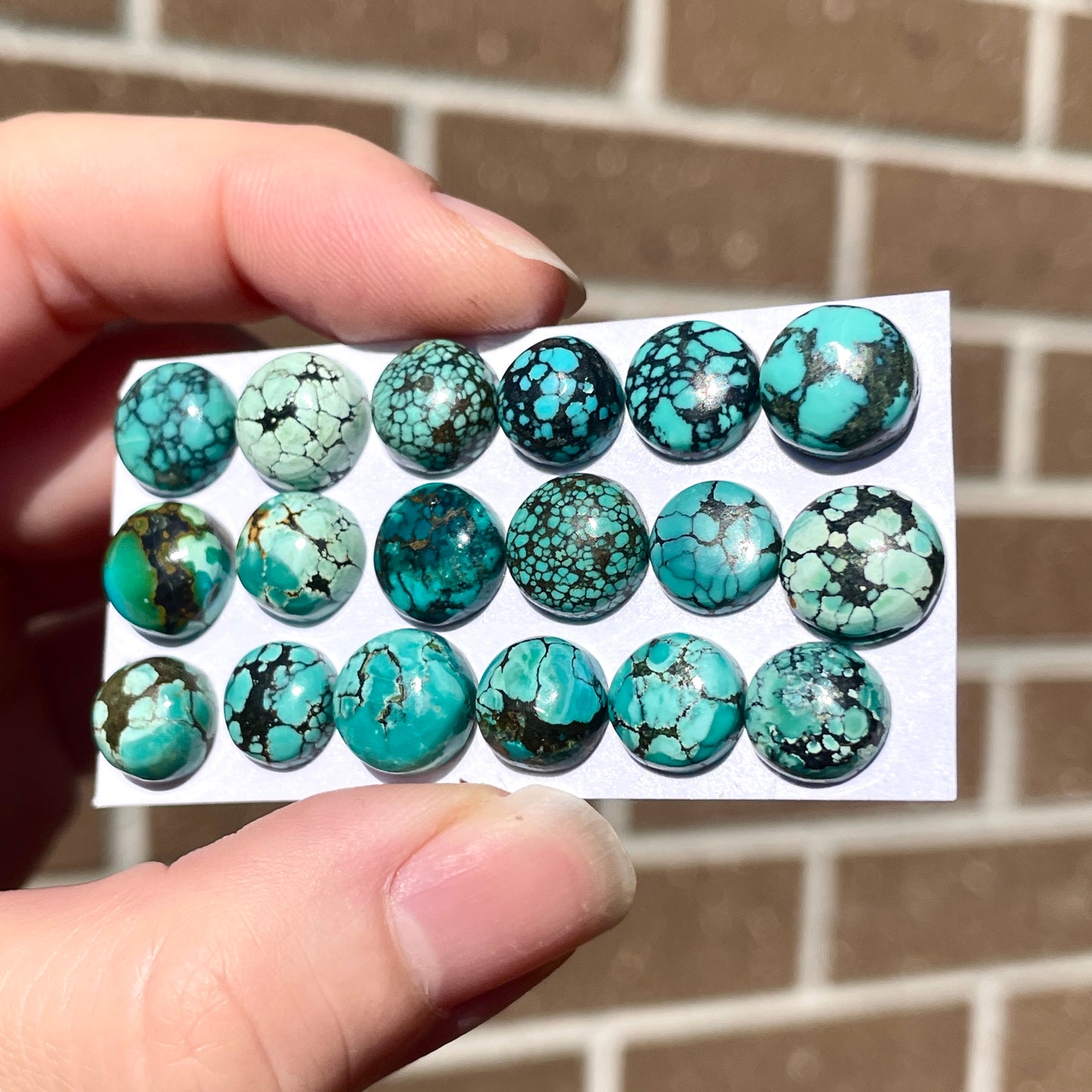 Tibetan Turquoise Round Cabochon Smooth (8mm to 10mm)  - Choose your Stone (W8)
