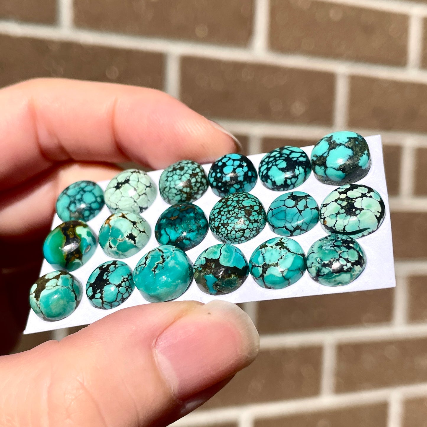 Tibetan Turquoise Round Cabochon Smooth (8mm to 10mm)  - Choose your Stone (W8)