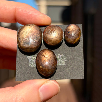 *RARE* Golden Star Sapphire (with Asterism) Oval Cabochon Smooth - Choose your Stone (W14)