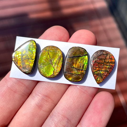 17-18mm Canadian Ammolite Cabochon Smooth - Choose your Stone (W5)