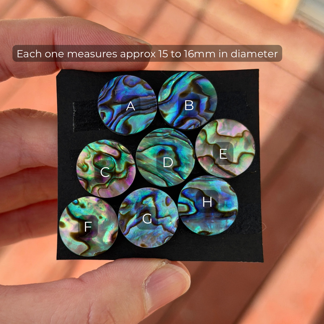 15mm Abalone Paua Shell (Iridescent) Round Cabochon Smooth - Choose your Stone (W15)