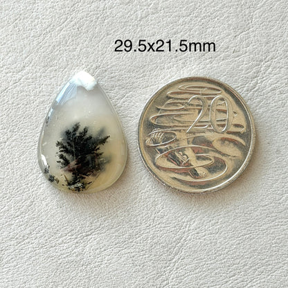 ‘Solitary Pine’ Dendritic Opal Agate Teardrop Cabochon - 29.5mm x 21.5mm (W16)
