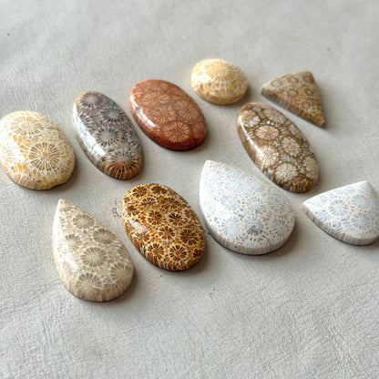 Fossilised Coral Cabochon Smooth - Choose your Stone (W17)