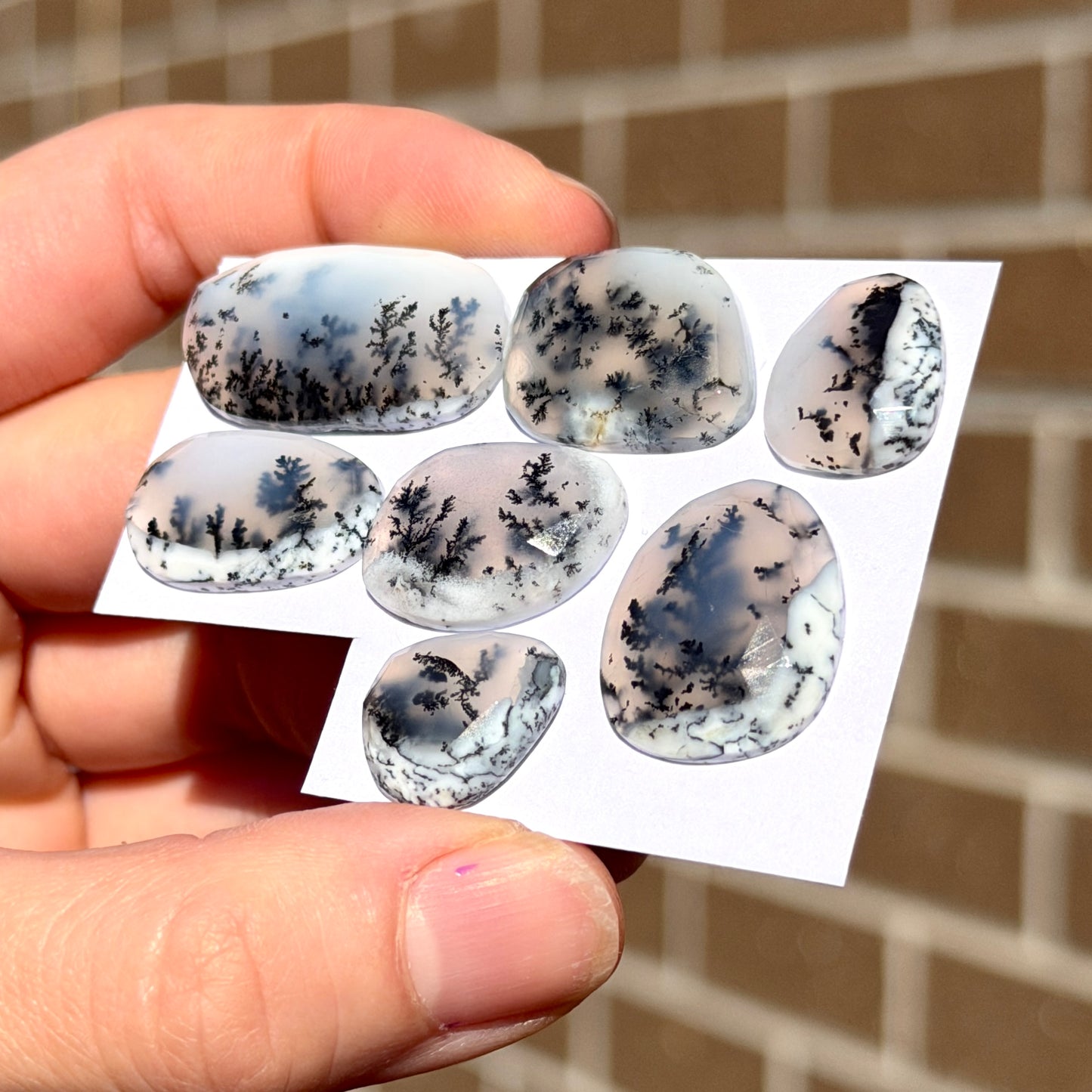 ‘Scenic’ Dendritic Opal Agate Cabochon Rose cut - Choose your Stone (W2)