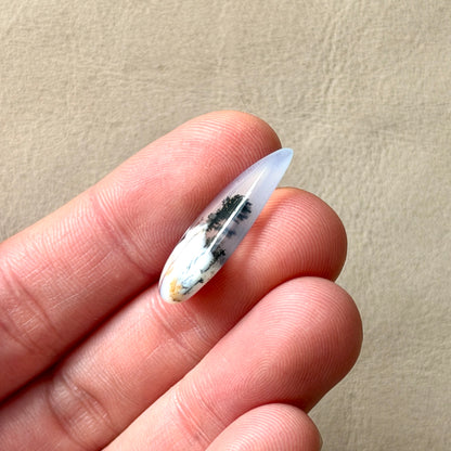‘Lone Pine' Dendritic Opal Agate Teardrop Cabochon - 25mm x 11mm (W3)