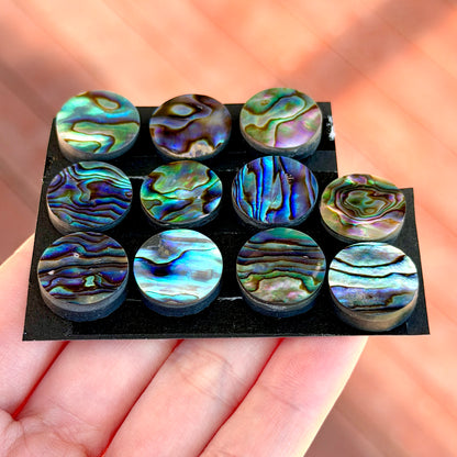 15mm Abalone Paua Shell (Iridescent) Round Cabochon Smooth - Choose your Stone (W13)