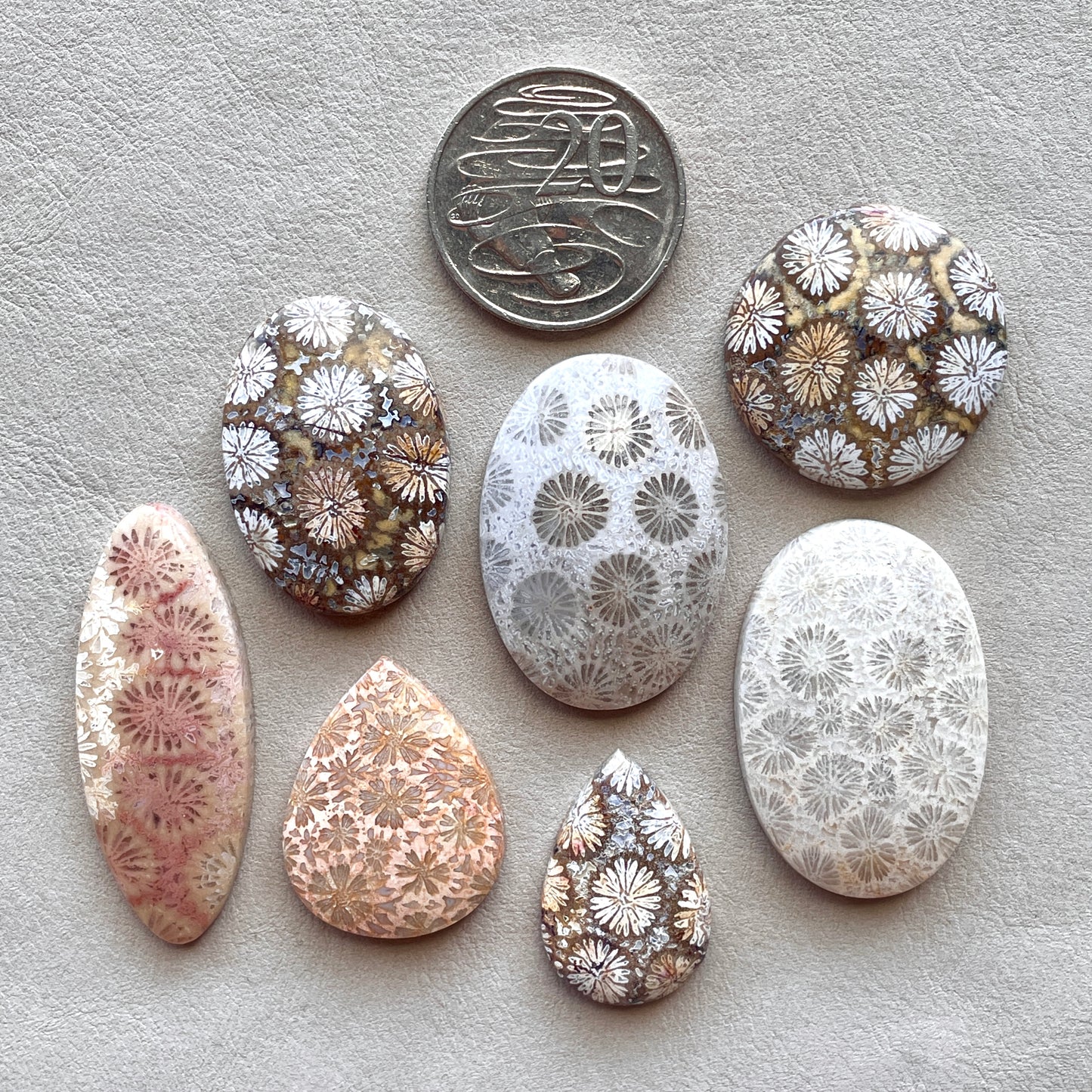 Fossil Coral Cabochon Smooth - Choose your Stone (W1)