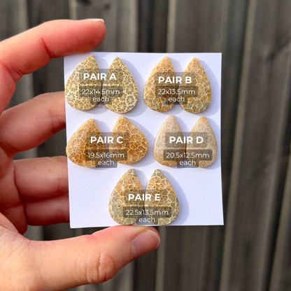 Fossil Coral Teardrop Cabochon Pairs - Choose your Pair (W15)