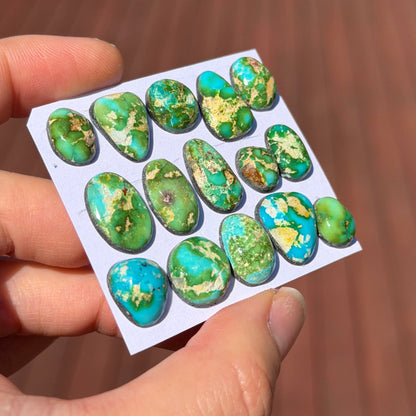 Sonoran Gold Turquoise Cabochon Smooth (Backed) - Choose your Stone (W6)