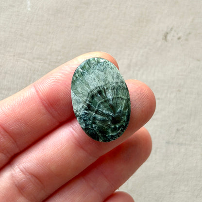 Seraphinite Oval Cabochon Smooth 25.5mm x 17mm (W8)