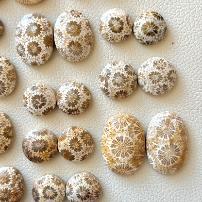 Cream/Beige Fossilised Coral Cabochon Pairs (Round & Oval) - Choose your Pair (W1)
