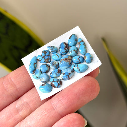 20pcs Golden Hill Turquoise (Kazakhstan) Cabochons Smooth - 5-12mm (FULL LOT)(W12)