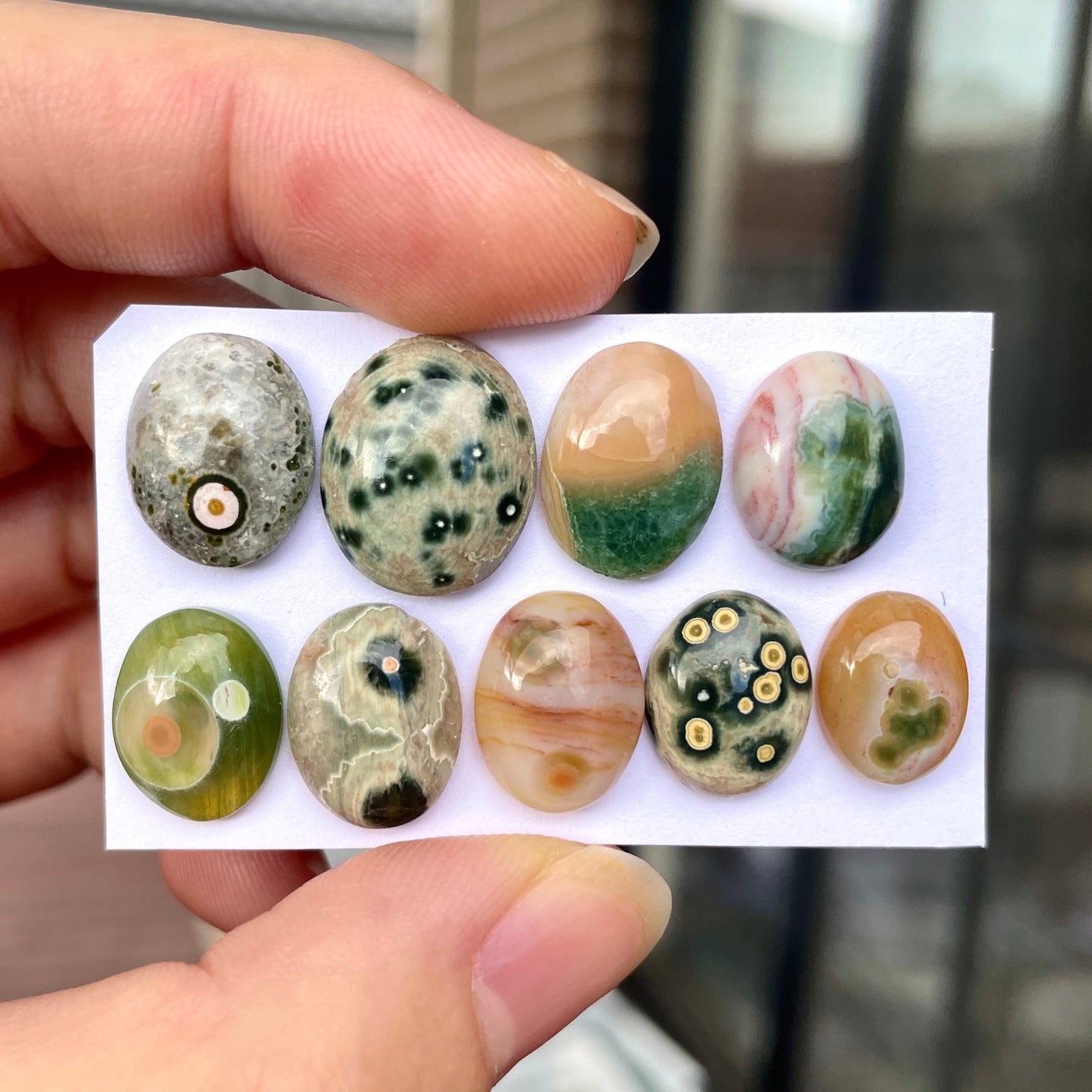 12-16mm Ocean Jasper Oval Cabochon Smooth - Choose your Stone (W3)