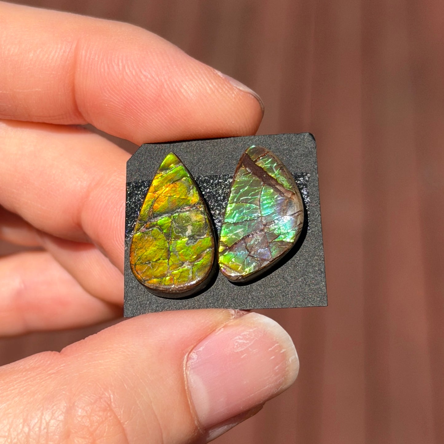 17-19mm Canadian Ammolite Cabochon Smooth - Choose your Stone (W6)