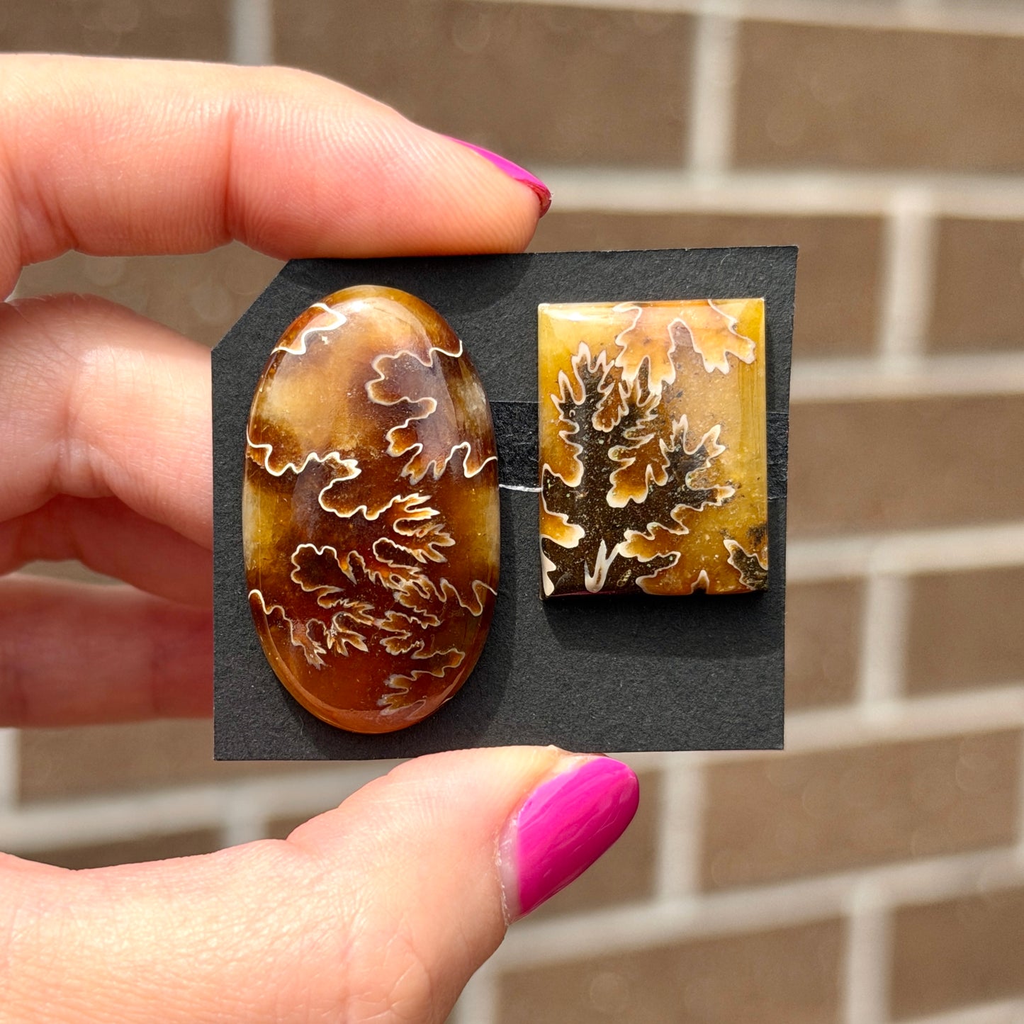 Suture-pattern Ammonite Fossil Cabochon - Choose your Stone (W13)