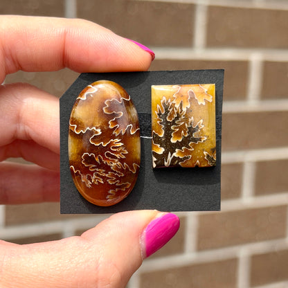 Suture-pattern Ammonite Fossil Cabochon - Choose your Stone (W13)