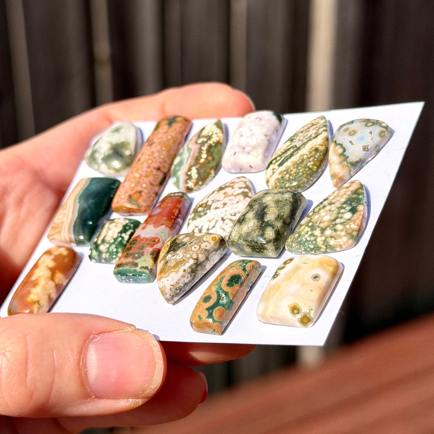 11-30mm Ocean Jasper Cabochon Smooth (Rough Backs) - Choose your Stone (W3)