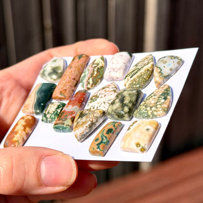 11-30mm Ocean Jasper Cabochon Smooth (Rough Backs) - Choose your Stone (W3)