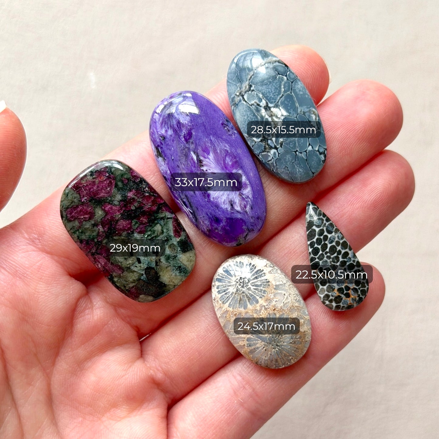 ‘Midnight Trail’ Gemstone Variety Pack (W5-B)