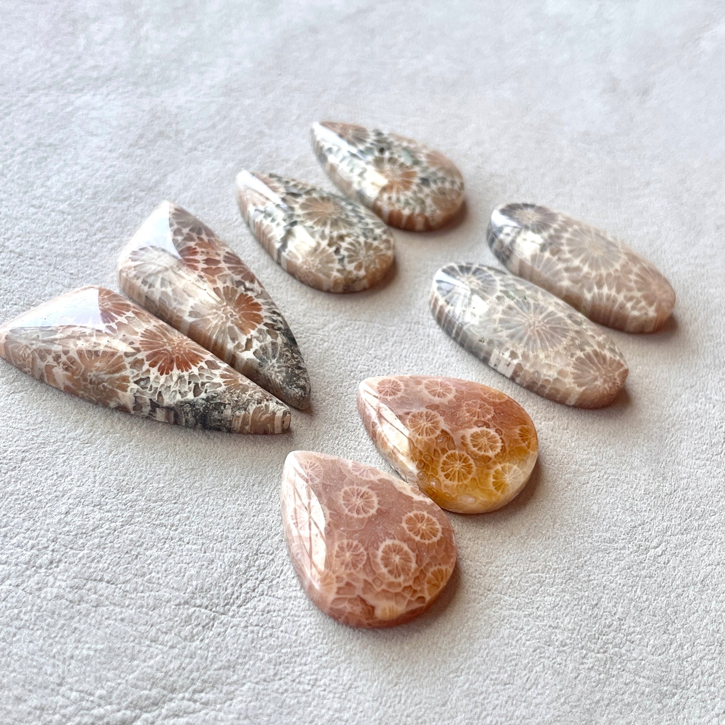 Fossil Coral Cabochon Pairs - Choose your Pair (W4)