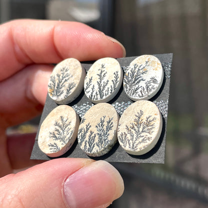 16mm Psilomelane Dendritic Limestone Oval Cabochon Raw-Face - Choose your Stone (W11)
