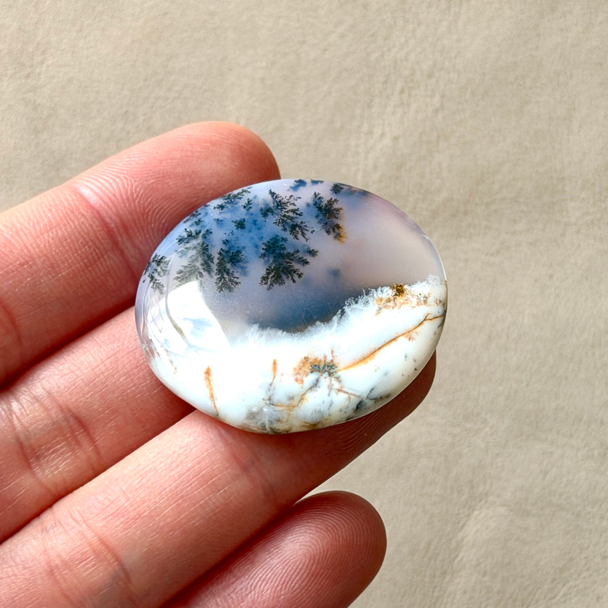 ‘Winter Canopy' Dendritic Opal Agate Round Cabochon - 33.5mm (W16)