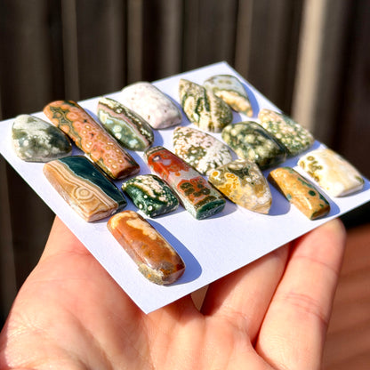 11-30mm Ocean Jasper Cabochon Smooth (Rough Backs) - Choose your Stone (W3)