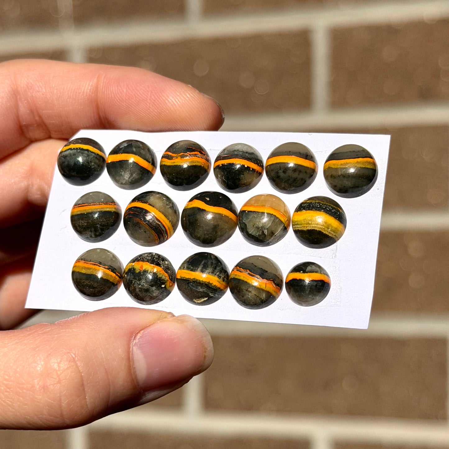 8-11mm Bumblebee Jasper Round Cabochon Smooth - Choose your Stone (W9)