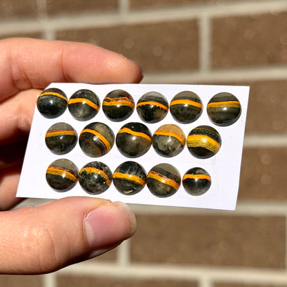 8-11mm Bumblebee Jasper Round Cabochon Smooth - Choose your Stone (W9)