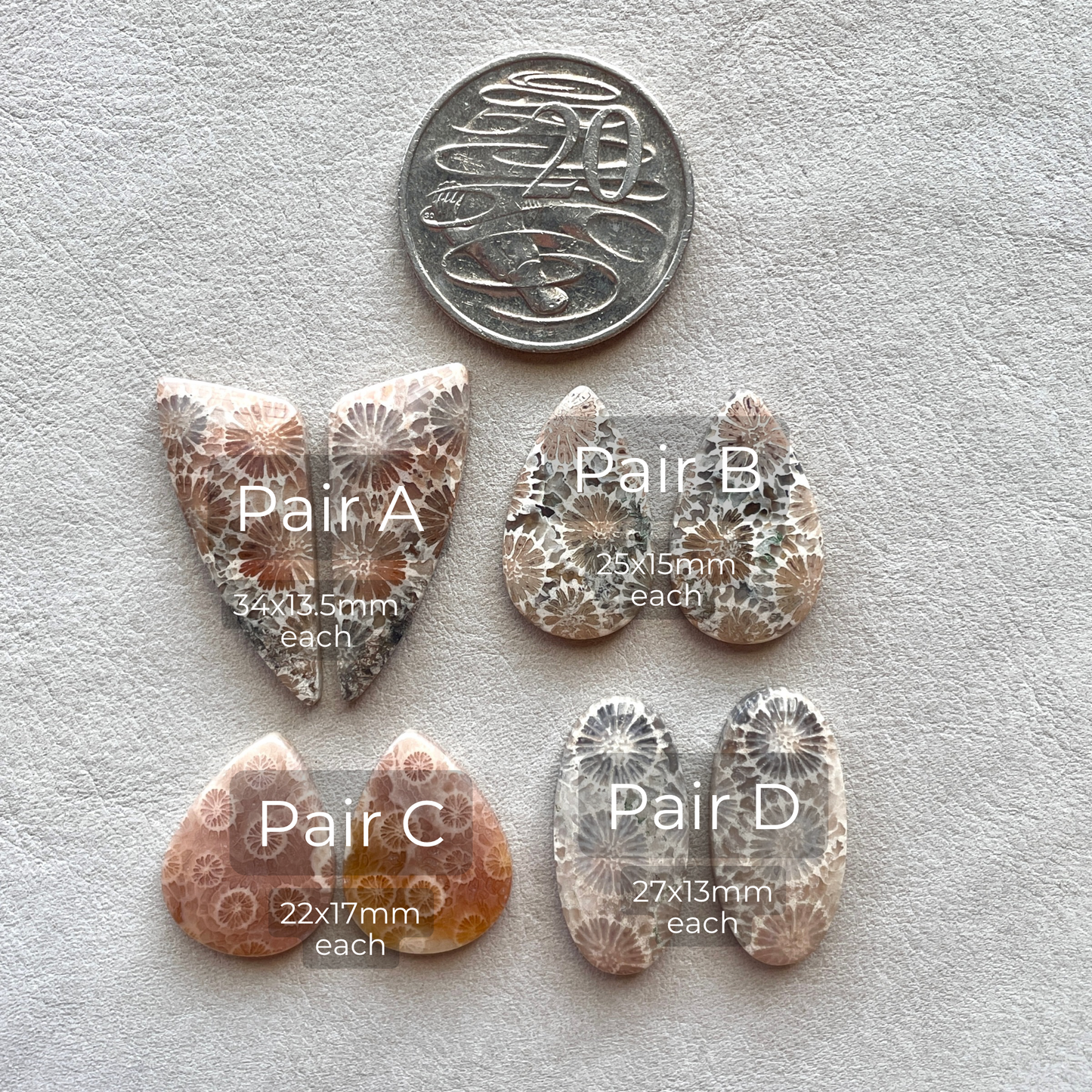 Fossil Coral Cabochon Pairs - Choose your Pair (W4)