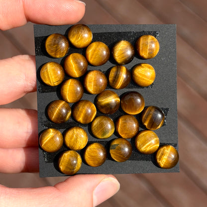 10mm Tiger's Eye Round Cabochon Smooth - Set of 3 (E2)