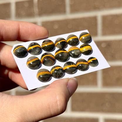 8-11mm Bumblebee Jasper Round Cabochon Smooth - Choose your Stone (W9)