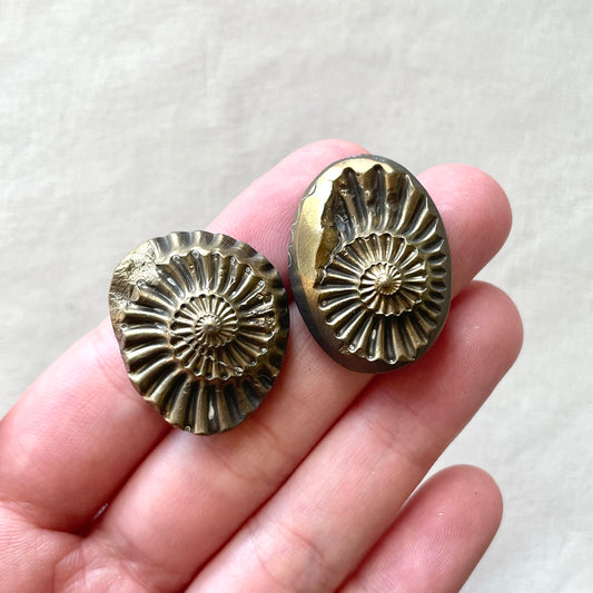 Pyritized Negative Ammonite Fossil Cabochon - Choose your Stone (W11)