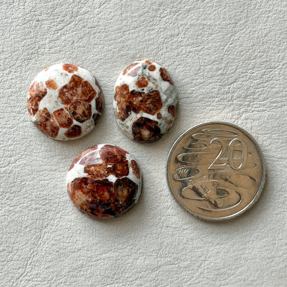 Garnet in Limestone Cabochon Smooth - Choose your Stone (W14)