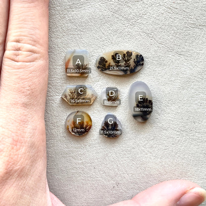 8-22mm Scenic Dendritic Agate Cabochon Smooth - Choose your Stone (H)