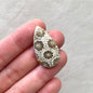 Fossil Coral Teardrop Cabochon - 30.5x17mm (W7)