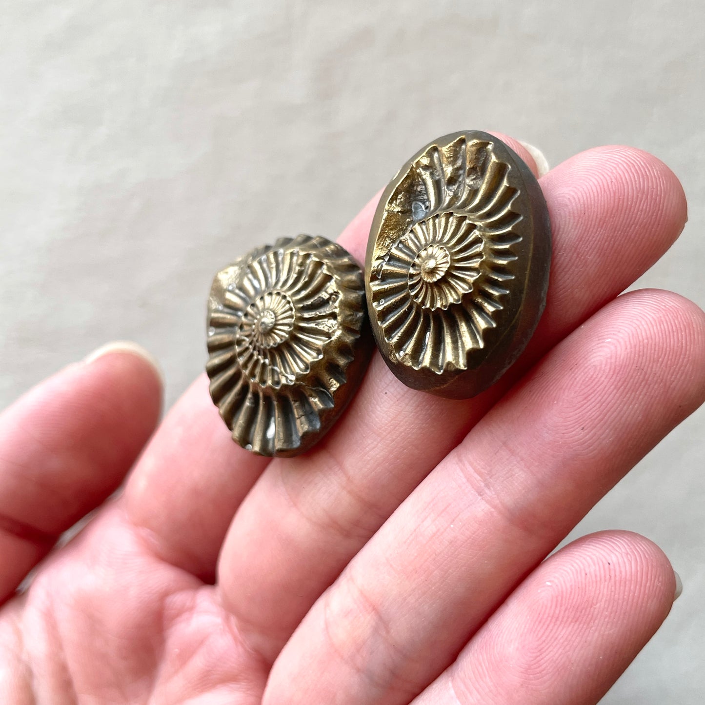 Pyritized Negative Ammonite Fossil Cabochon - Choose your Stone (W11)