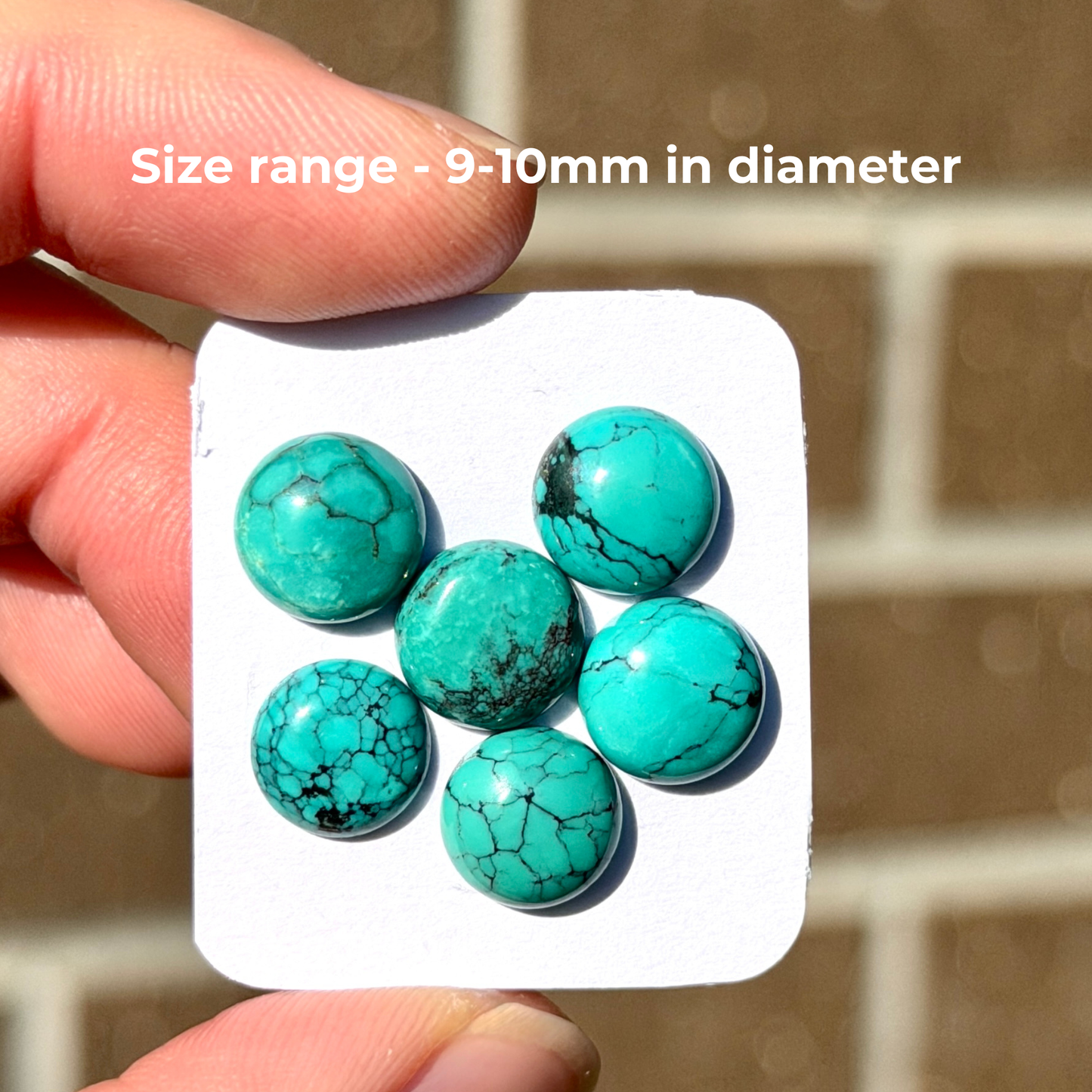 6pcs Green Hubei Turquoise round Cabochons Smooth - 9-10mm (FULL LOT) (W16)