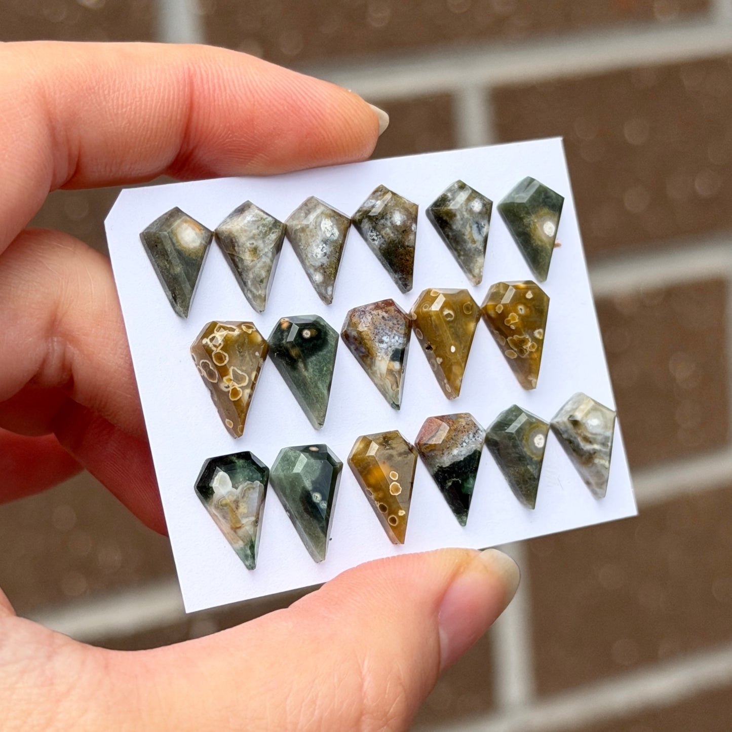 12x8mm Ocean Jasper Cabochon Kite Step cut - Choose your Stone (W11)