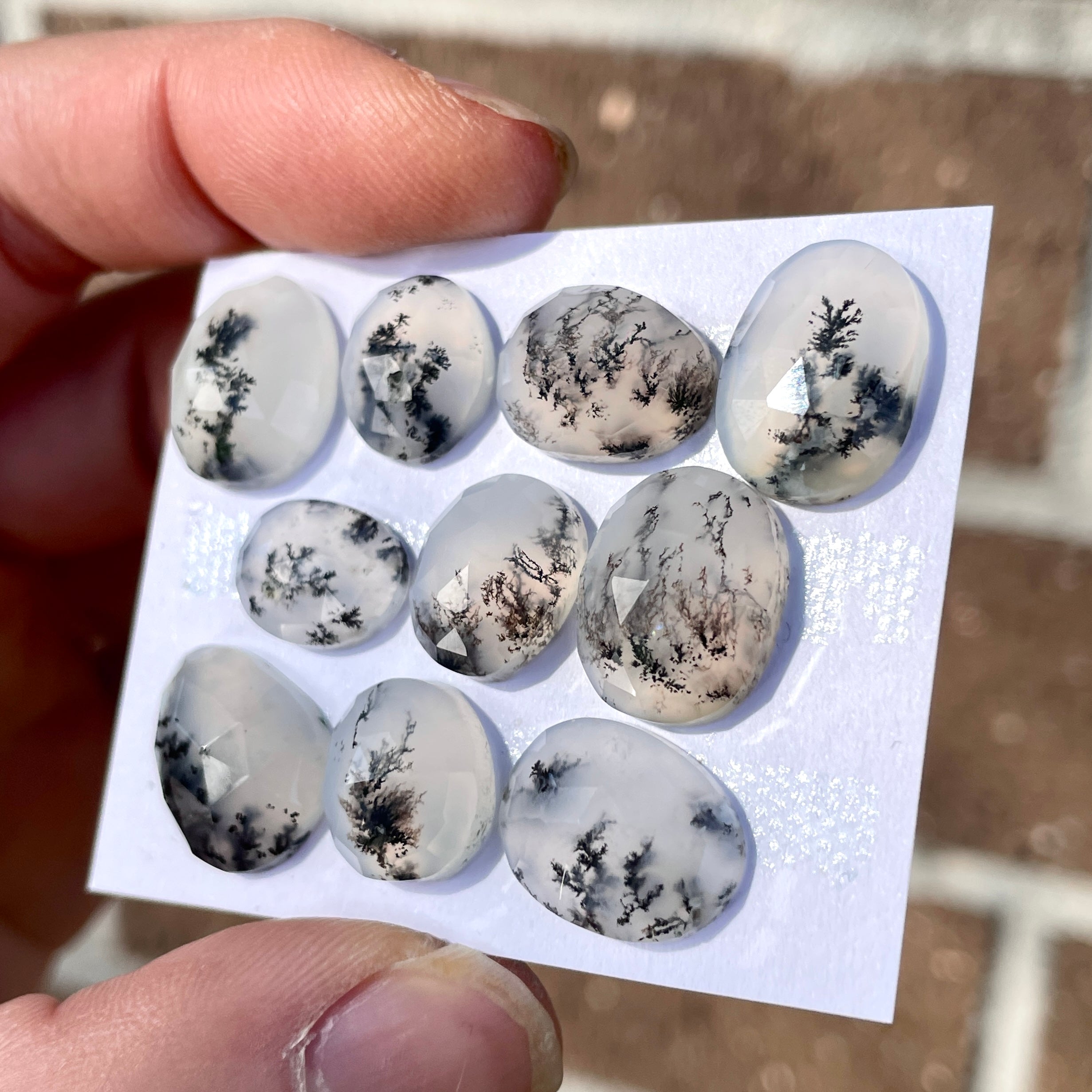 On sale Dendritic agate cabochon