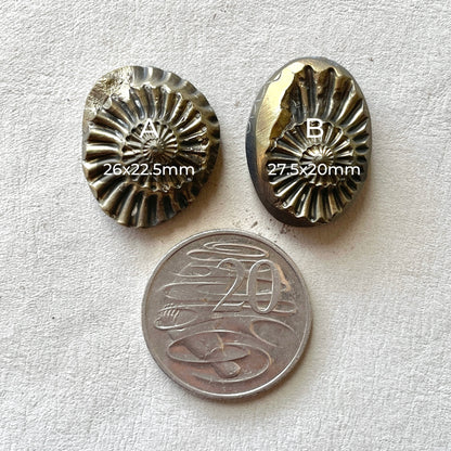 Pyritized Negative Ammonite Fossil Cabochon - Choose your Stone (W11)