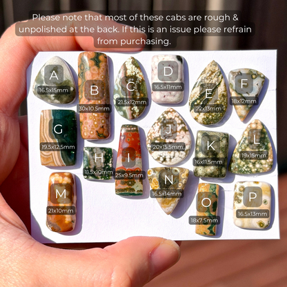 11-30mm Ocean Jasper Cabochon Smooth (Rough Backs) - Choose your Stone (W3)