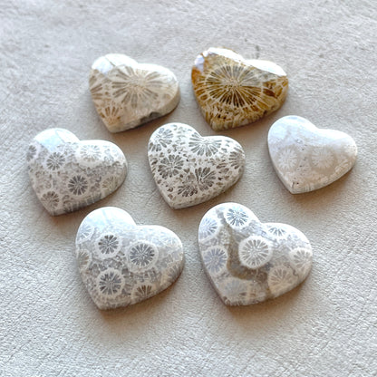 Fossilized (Fossil) Coral Heart Cabochon Smooth - Choose your Stone (W11)