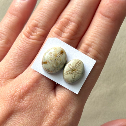 *Rare* Sand Dollar Fossil Cabochon Smooth Oval - Choose your Stone (W15)
