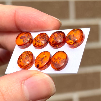 9-11mm Baltic Amber Round & Oval Cabochon Smooth - Choose your Stone (W9)